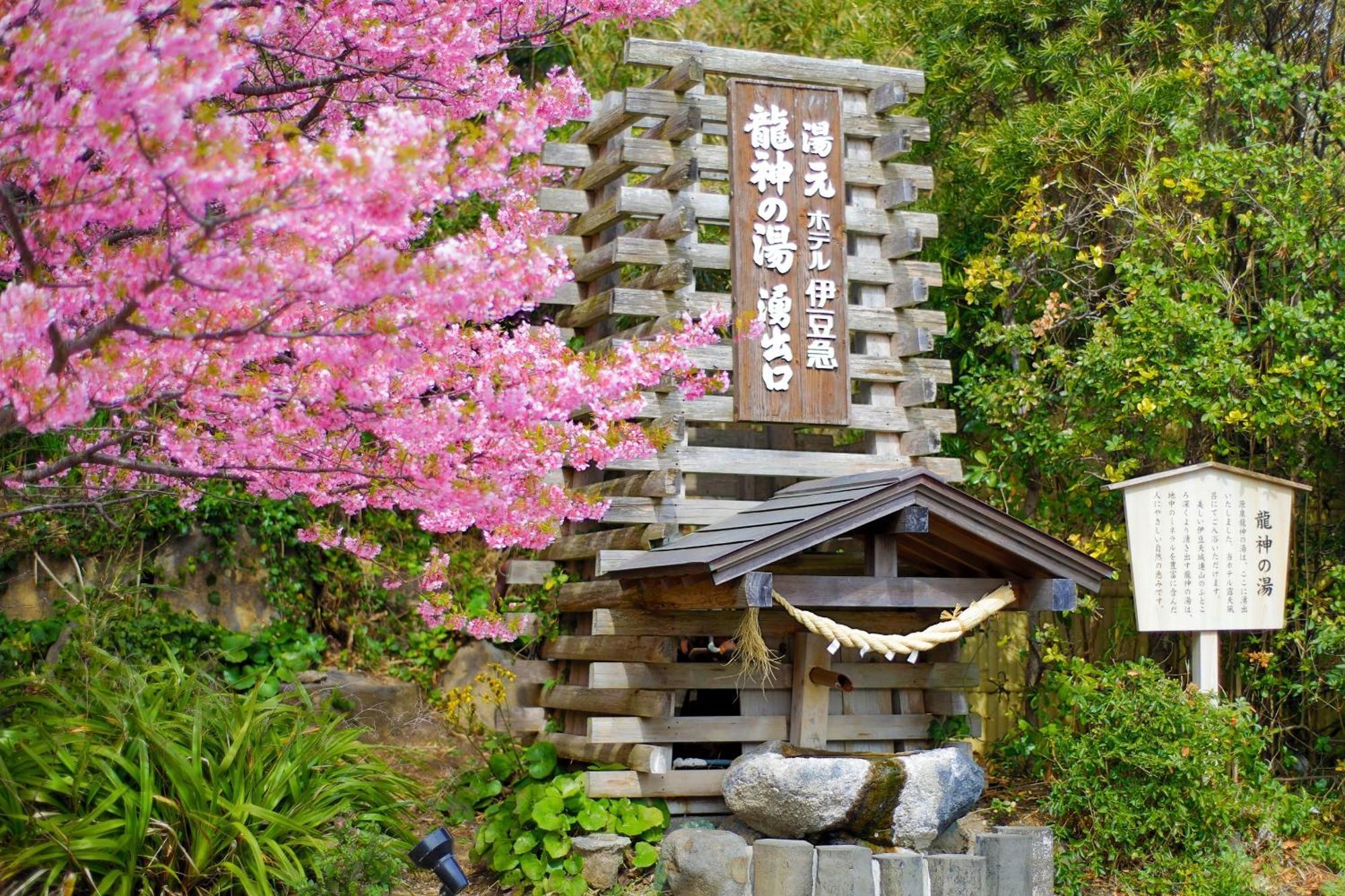 Hotel Izukyu Shizuoka Luaran gambar