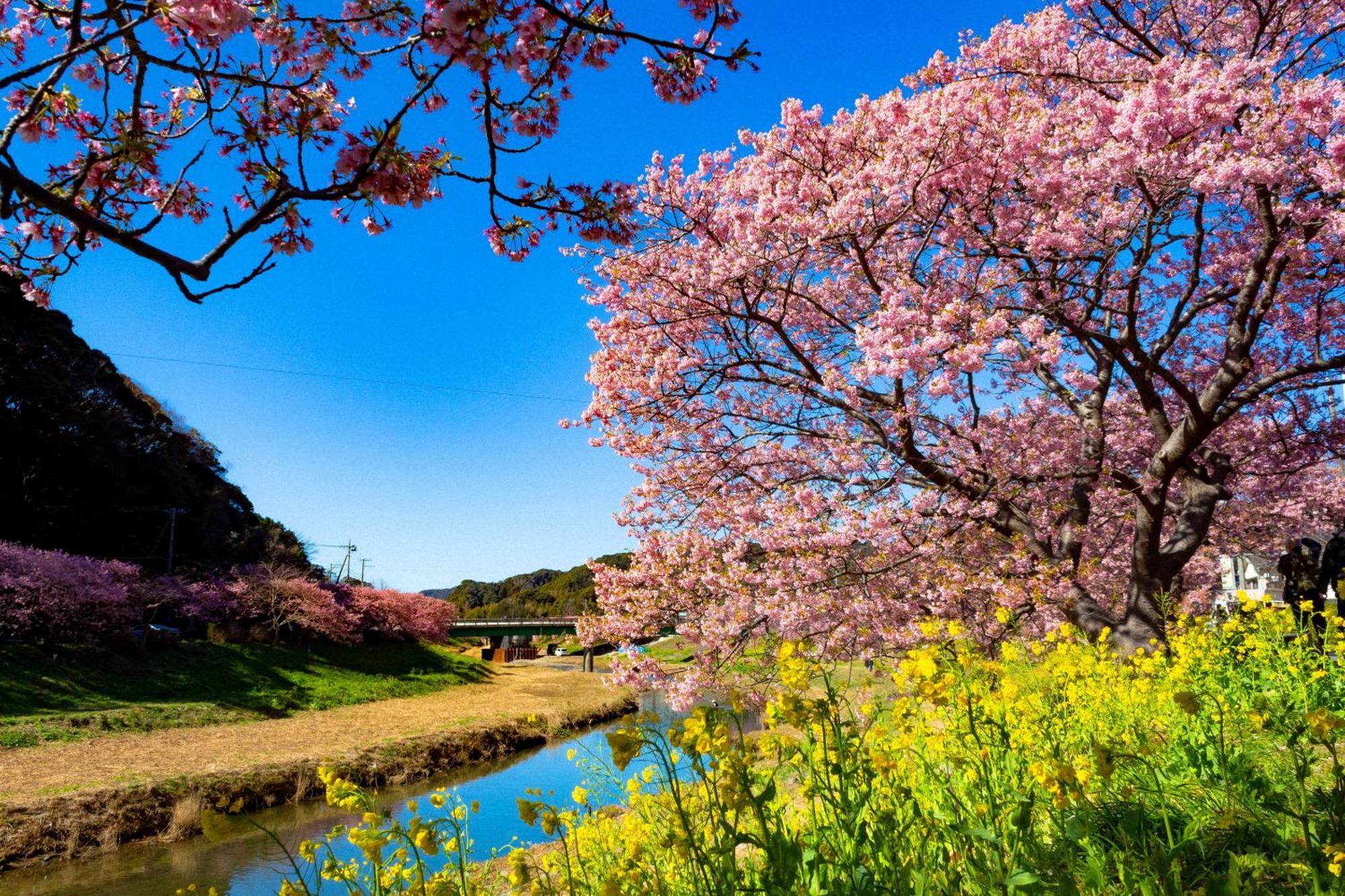 Hotel Izukyu Shizuoka Luaran gambar